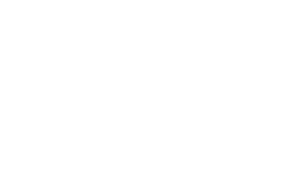 Logo white